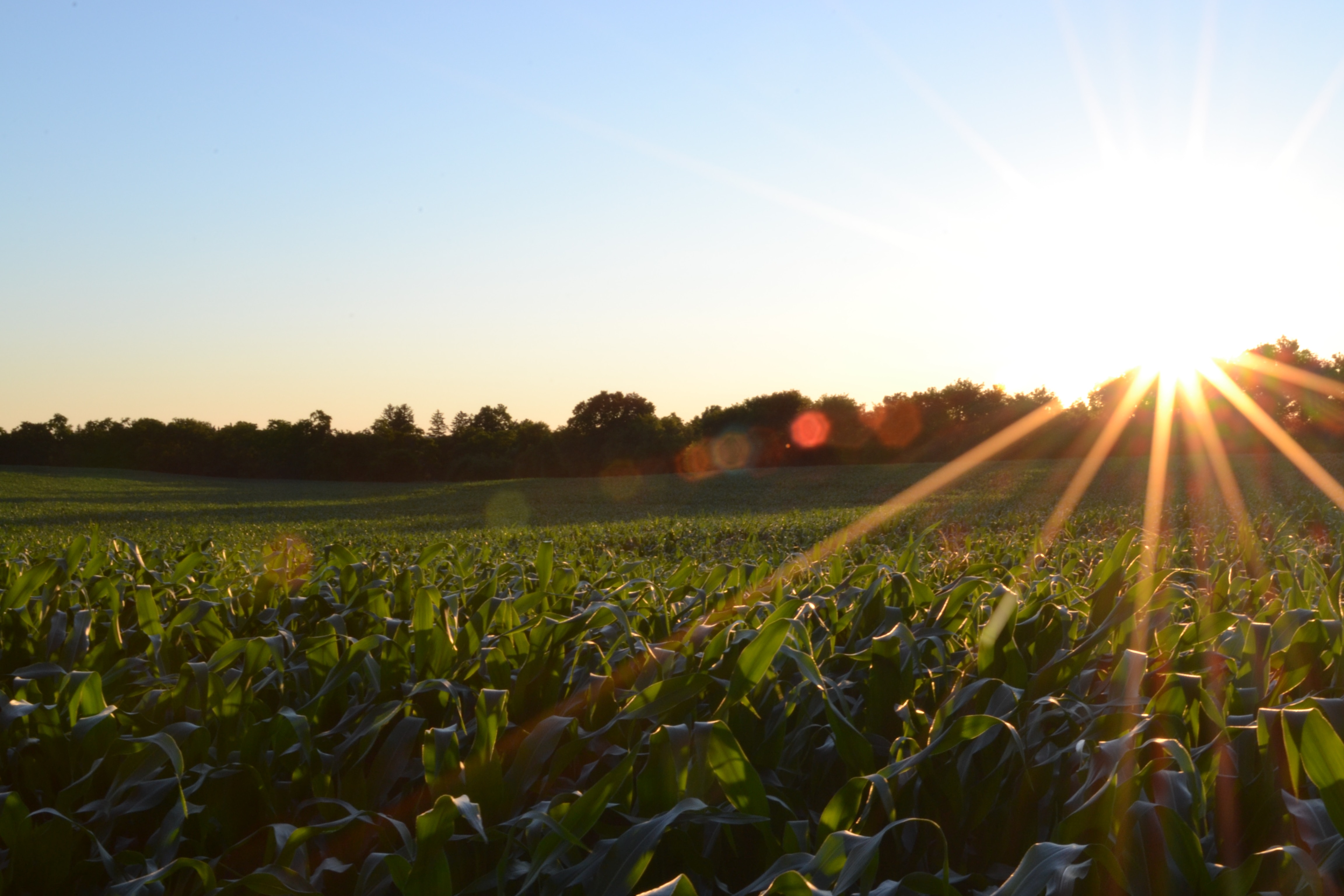 Personal, Business and Agri-Banking in Battle Creek, NE